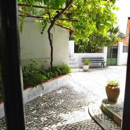 Casa Dos Pocinhos Ferias Tranquilas No Campo Torres Novas Εξωτερικό φωτογραφία